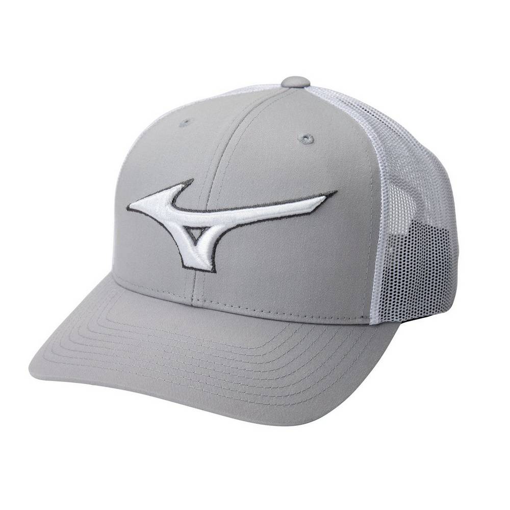 Panske Čiapky Mizuno Diamond Trucker Baseball Siva/Biele Vypredaj RTMY83294
